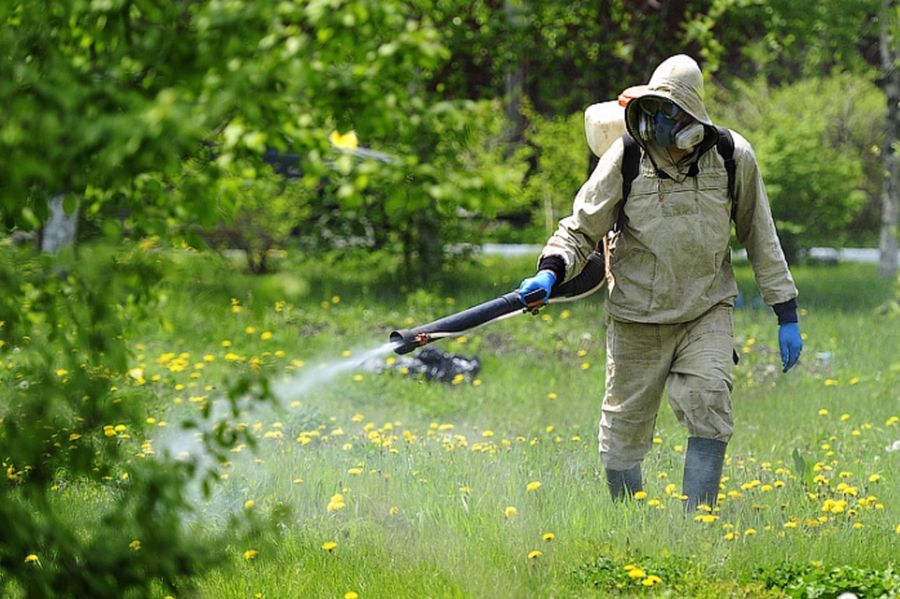 За 300 тысяч рублей 16 общественных мест Орла обработают от клещей дважды