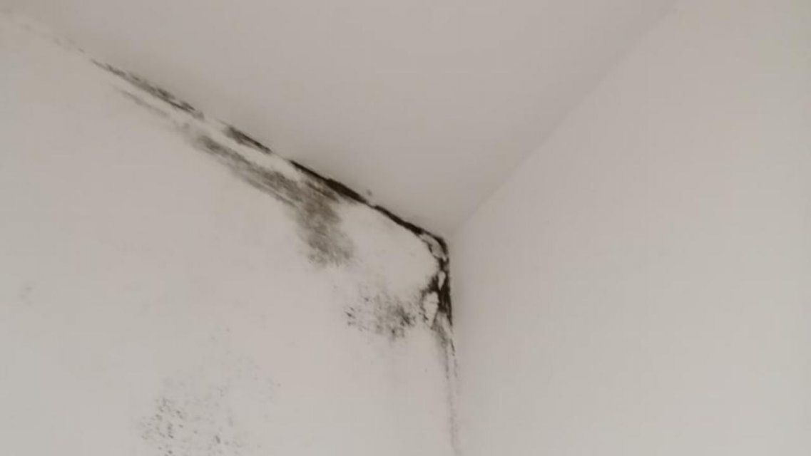 «Дышите на здоровье!»: в Орле нашли плесень в детской инфекционной больнице