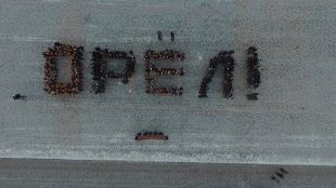 Орловская молодёжь флешмобом отметила День героев Отечества