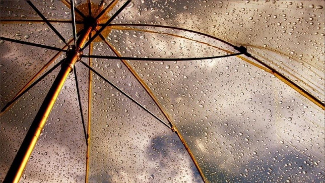 Сегодня понадобится зонт: погода в Орле на 26 августа
