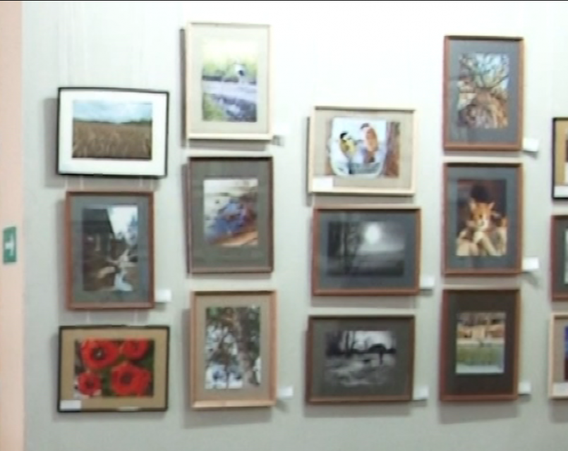 В Орле в 26-й раз проходит выставка юных художников имени Андрея Курнакова «Славлю Родину свою»