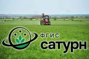 Россельхознадзор выявил нарушения при применении пестицидов в Верховском районе Орловской области