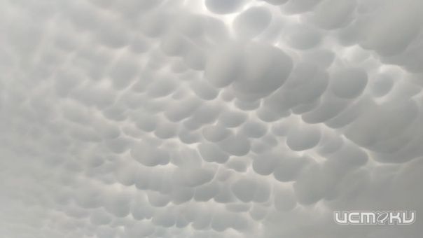 Ночью над Орловской областью перехватили один беспилотник