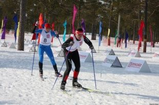 Судебные приставы оказались на почетном третьем
