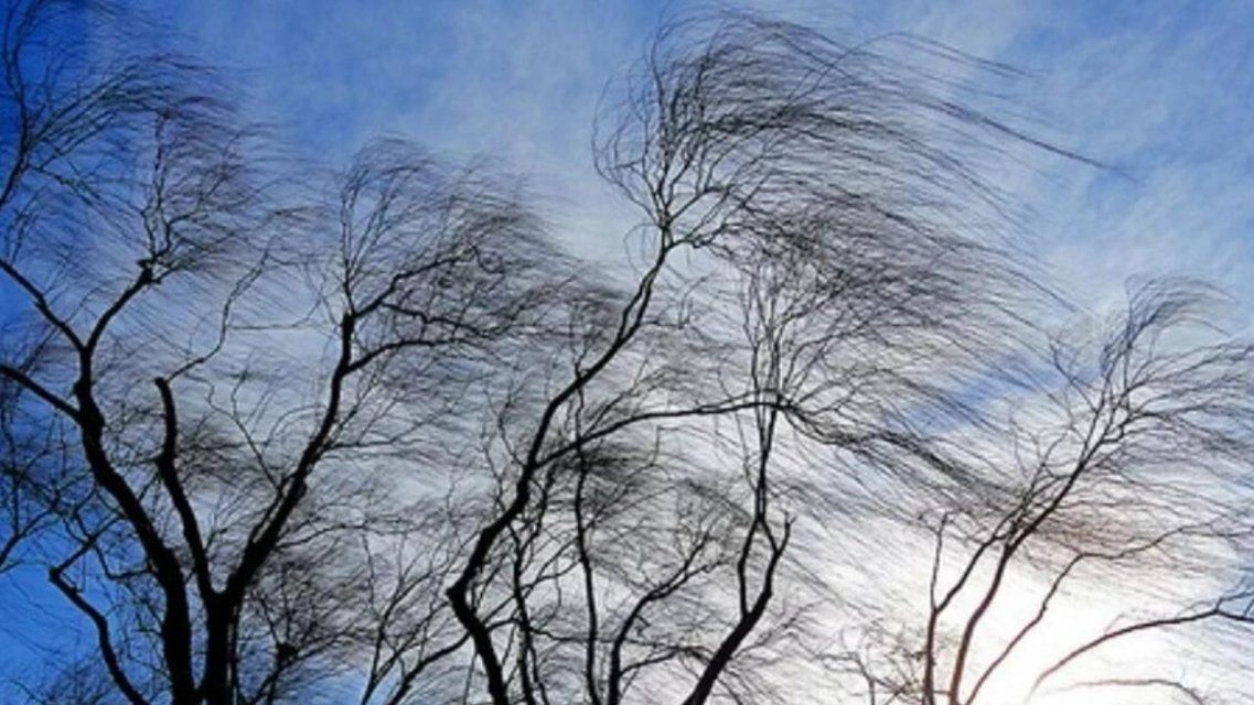 Ветреная погода сохранится в Орловской области и в выходные