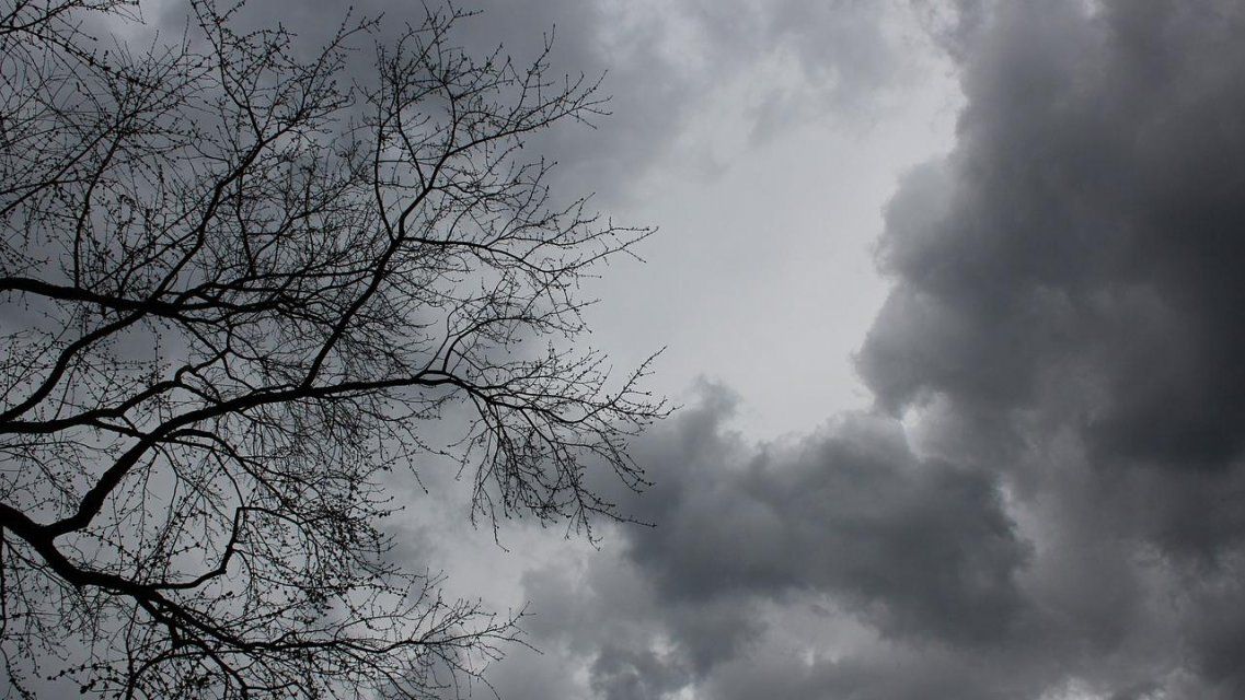 Вторник будет хмурым и дождливым 