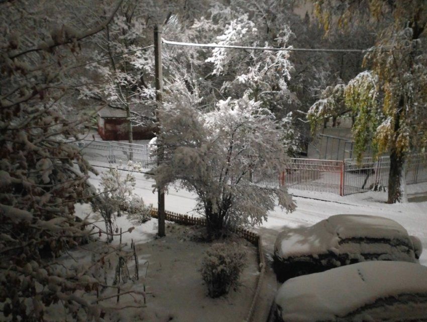 Новый победитель традиционного конкурса "Истоков" определен