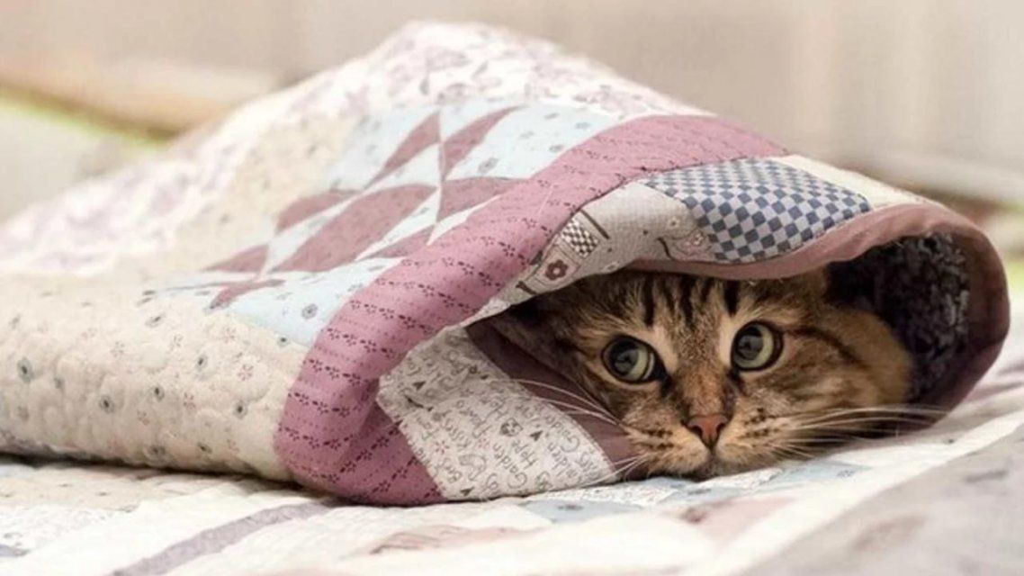 На Орловщине ожидается ухудшение погодных условий