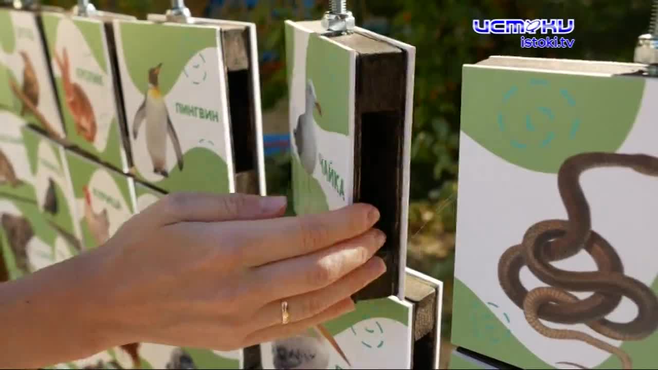 Эко.детки. Любовь к природе с самых малых лет!