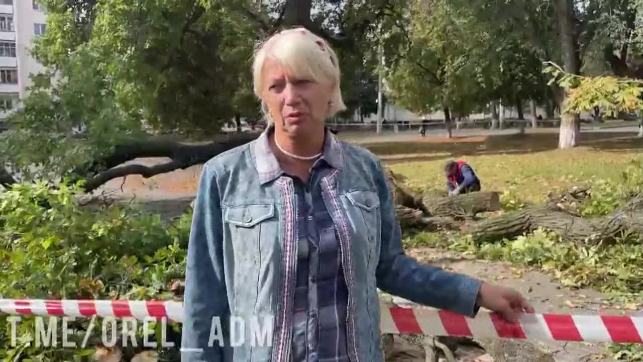 «Оставшаяся часть дерева достаточно крепка»: эксперты решают судьбу 162-летнего дуба в Орле