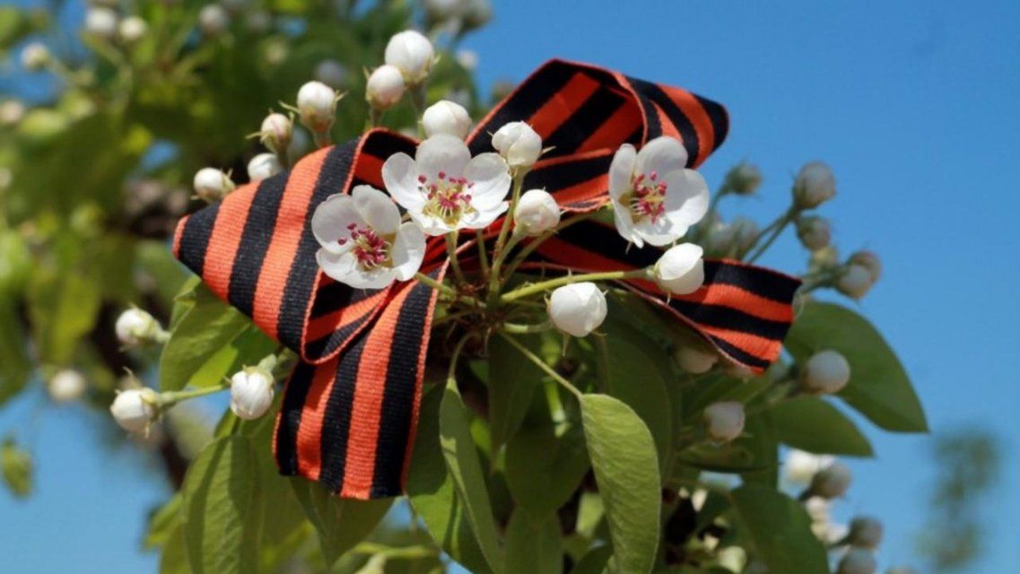 На набережной Дубровинского в Орле появится «Сад памяти»