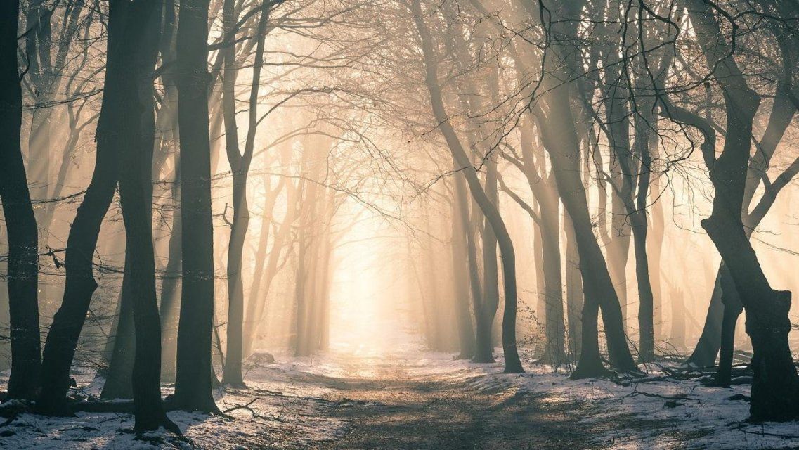 Пятница, 13-е: день неприятностей в Орле будет снежным и теплым