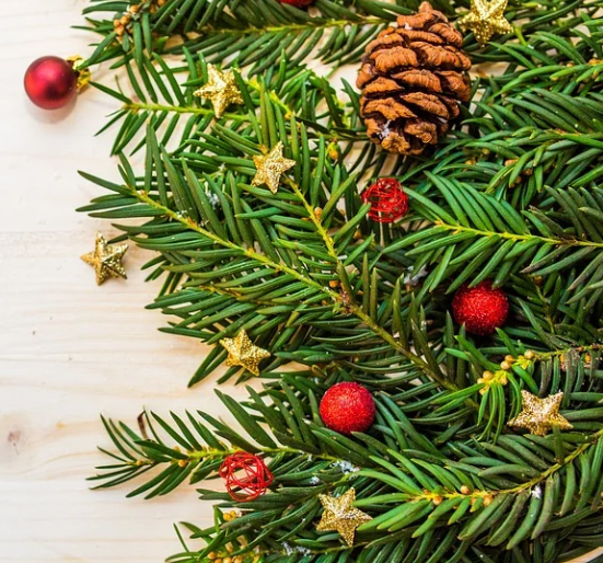 Орловчане могут сдать новогодние елки на переработку