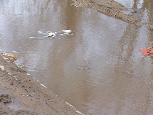 Проблема двора, как проблема города. Или история о том, когда по улице Васильевской появится хороший двор