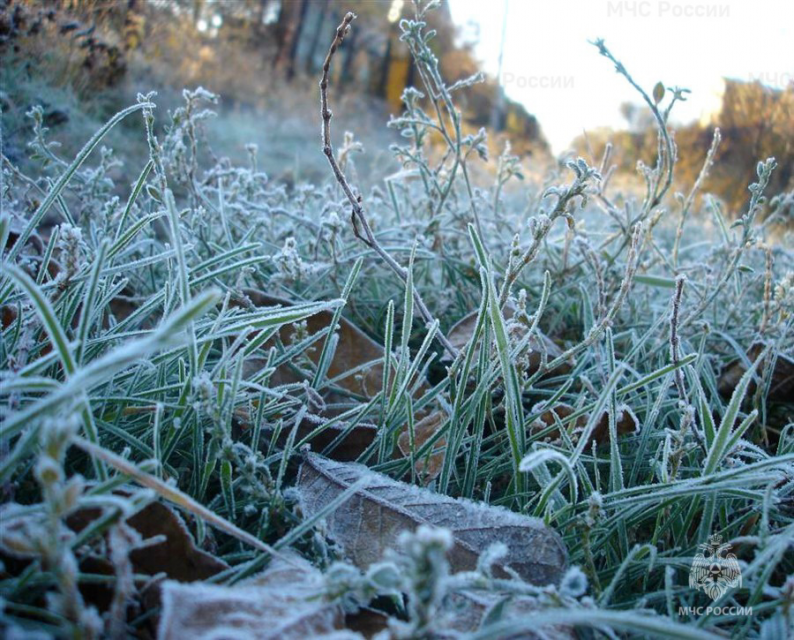 В Орловской области снова ожидаются заморозки
