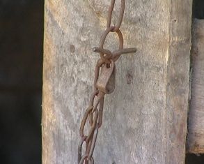 В Урицком районе родители держали детей на цепи из-за халатности бывшего начальника уголовно-исполнительный инспекции