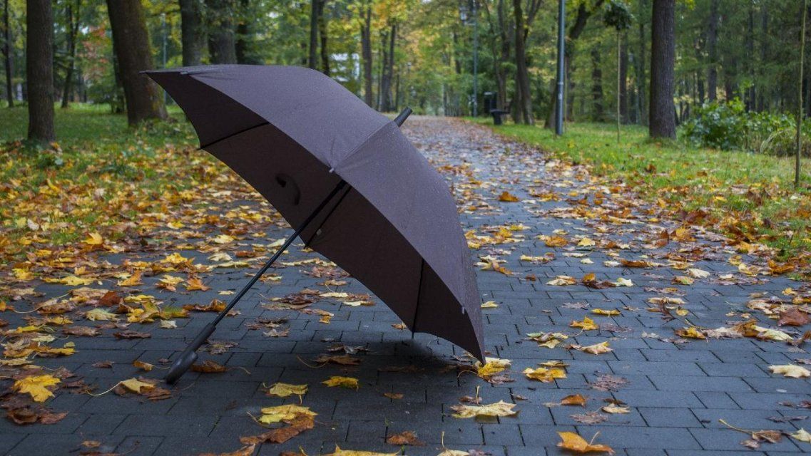 Сегодня орловчанам пригодится зонт: погода на 9 сентября 