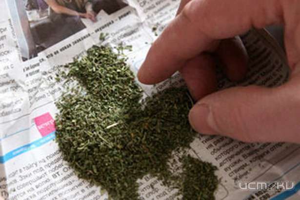 Мценские инспекторы догнали перевозчика наркотиков