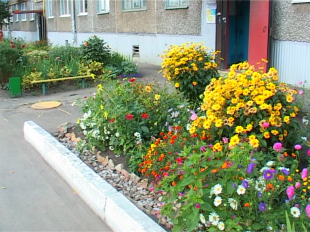 Как превратить свой двор в уютное и чистое место? 