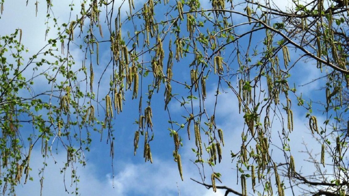 В 2021 году орловчан ждет преждевременная весна