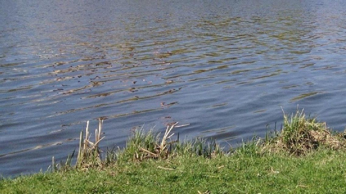 В Кромах из пруда вытащили труп мужчины