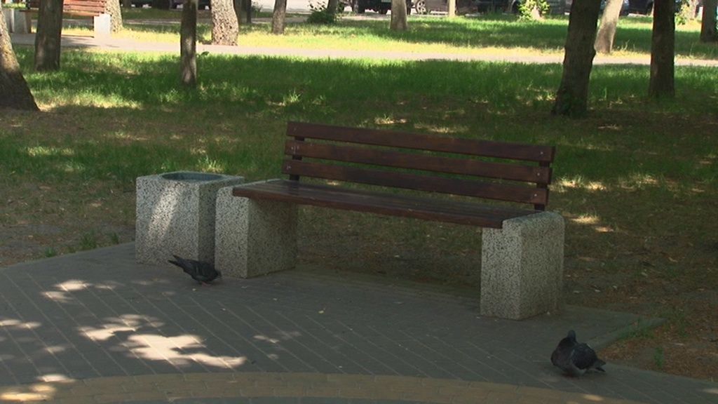 В Орле зарастают бурьяном благоустроенные скверы