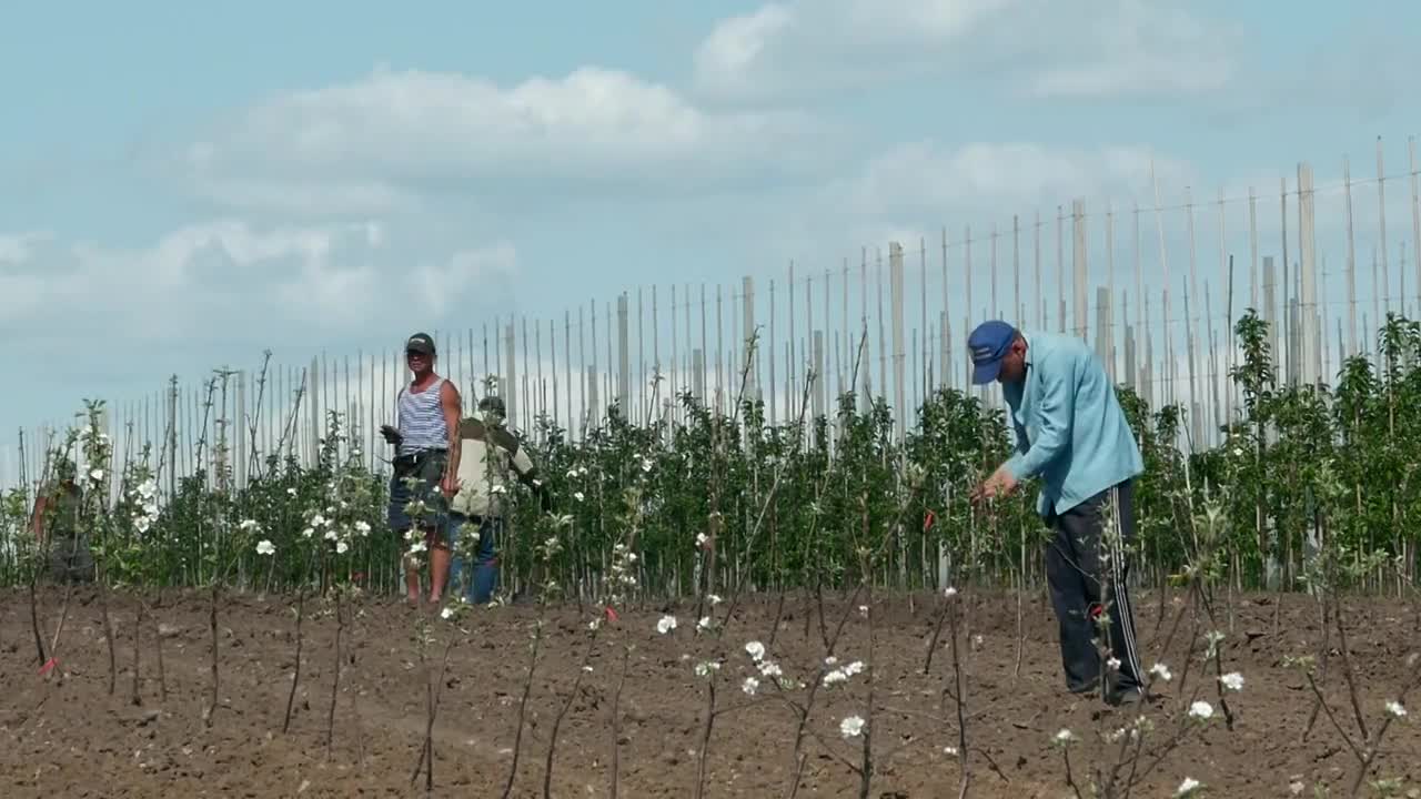 Экспертное мнение 28.05.19