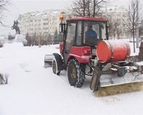 Снег на голову: Орёл утонул в осадках 