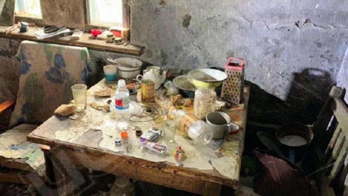 Подвергла детей опасности: в Орловском районе оштрафовали мать девочки-маугли 