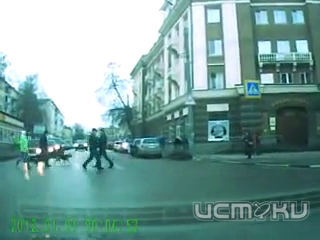 В Орле животные соблюдают ПДД! 