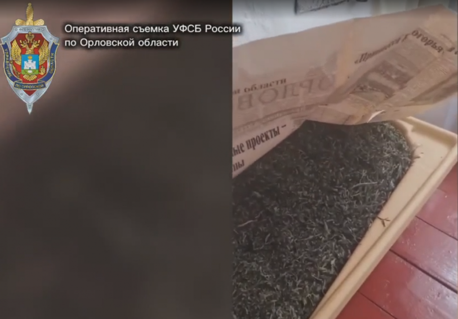У орловчанина обнаружили дома более 16 килограммов "травки"