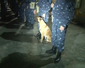 Новости за 90 секунд: вчера в "ГРИННе" произошел второй пожар за два дня, штрафовать за тонировку стали чаще, и вновь 60 полицейских отправились в командировку в Дагестан