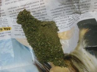 На Курской таможне служебная собака «Умка» нашла в машине наркотики