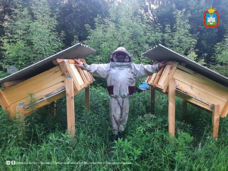 Бывший работник полиции на пенсии создал пасеку "Дикий мед"