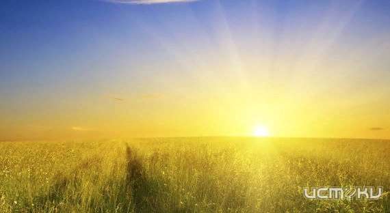 Сегодняшний день порадует орловчан солнышком