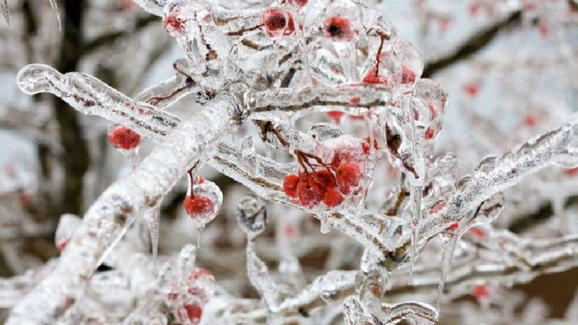Метеопредупреждение: в ближайшие дни Орловщину накроет ледяной дождь