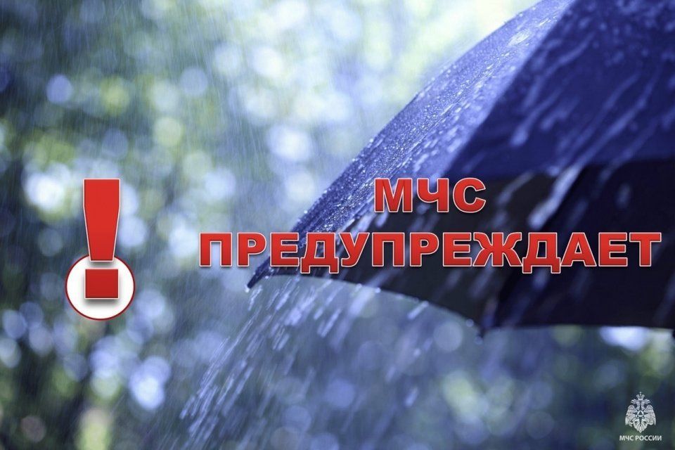 Орловскую область накроет штормовой ветер