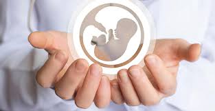 В Орловской области все больше рождается детей после процедуры ЭКО