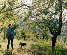 Из Италии в Орел прибудет "садовый археолог"