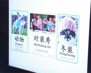 Чтобы рассказать о своей родине с орловскими школьниками встретились студентки из Китая 