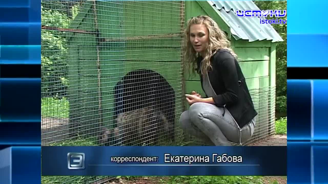 Хорошо забытое старое 27.05.2024