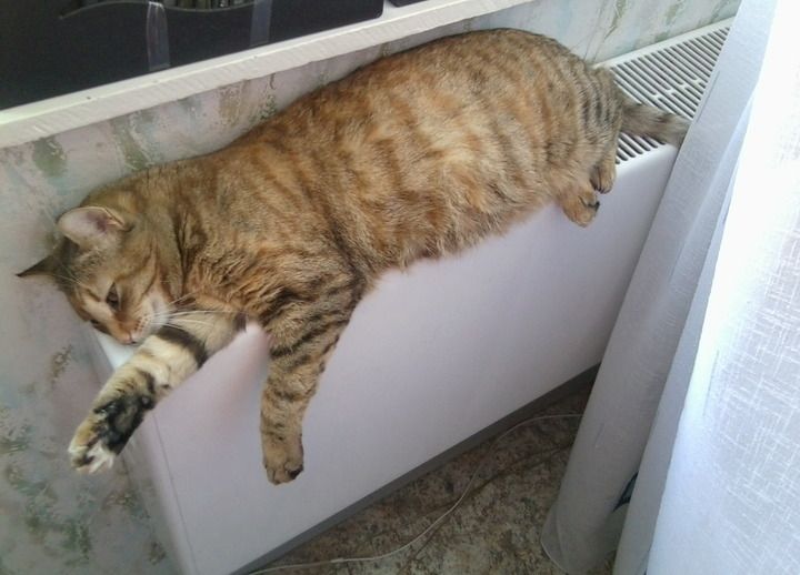 В ближайшие дни в Орловской области начнется отопительный сезон