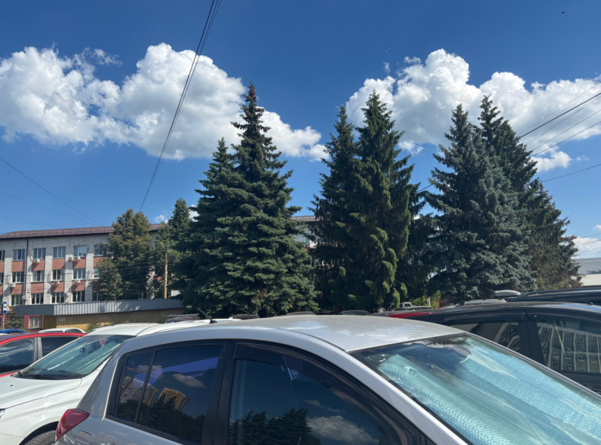 В Орловской области сохраняется жара