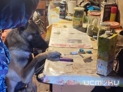 Житель Орловской области предстанет перед судом за незаконное хранение оружия, наркотиков и кражу