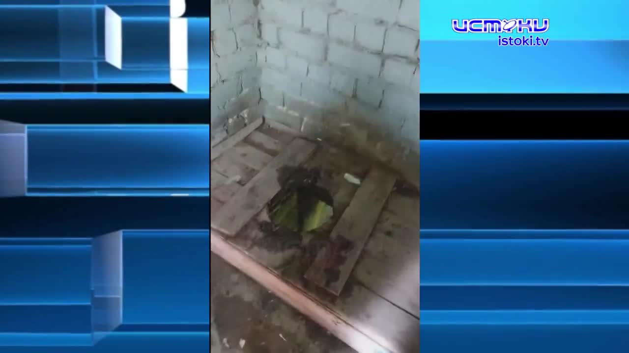 Аллеи здесь ухожены, а вот отхожее место-нет