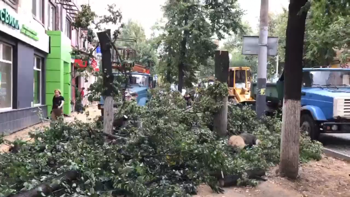 На улице Октябрьской вырубили липовую аллею