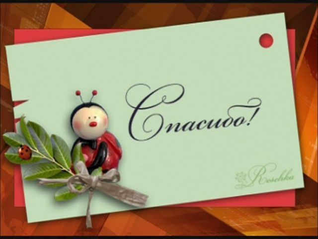 День Спасибо