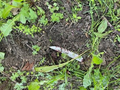 Житель Северного района Орла надолго лишился свободы за убийство знакомого 