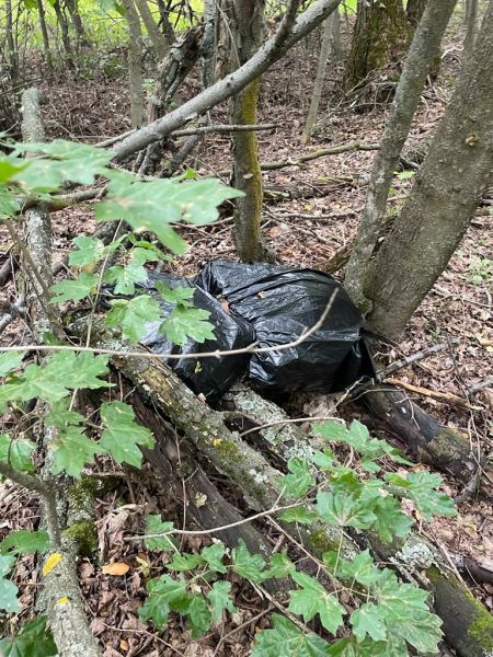 В Орловской области из незаконного оборота изъяли почти 3 кг конопли