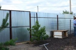 НУЖНА ПОМОЩЬ !